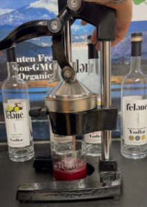 Manual citrus juicer