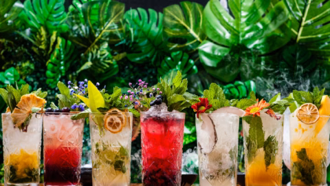 herbs and botanicals in cocktails