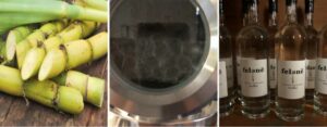 sugarcane vodka