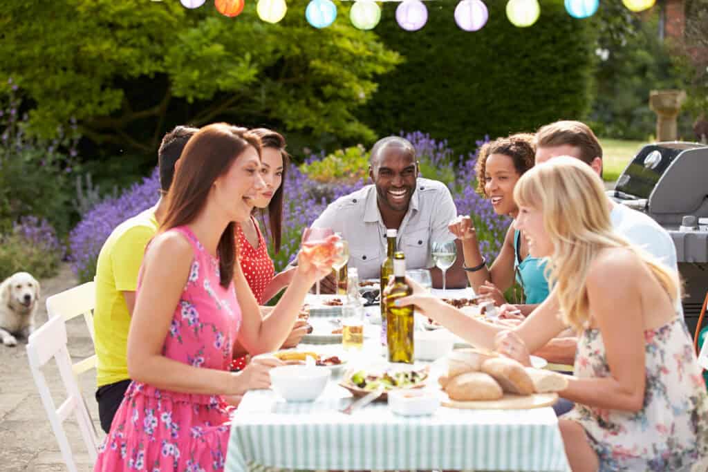 Top 20 Summer Vodka Cocktails for 2024 feləne® Organic Sugarcane vodka