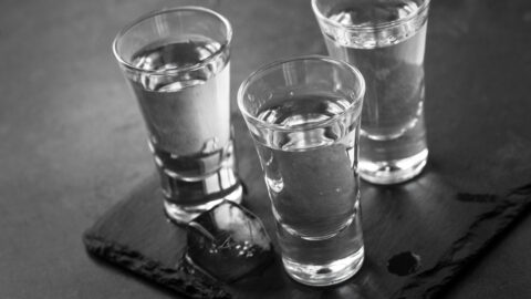vodka tasting