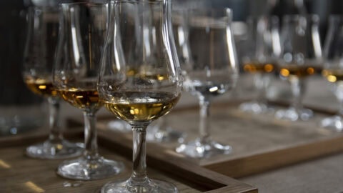Whiskey tasting